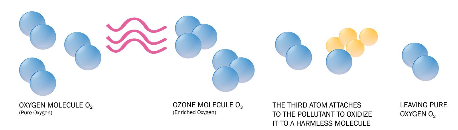 Ozone ozone generator